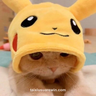 User Advik